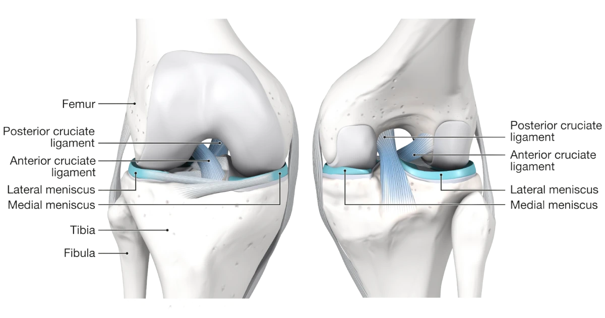 ACL & PCL Reconstruction
